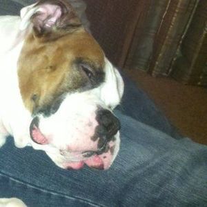 Meet your Posher, Suzie